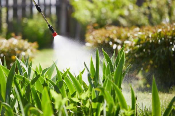 Tamper-Resistant Bait Stations for Rodents in Fowler