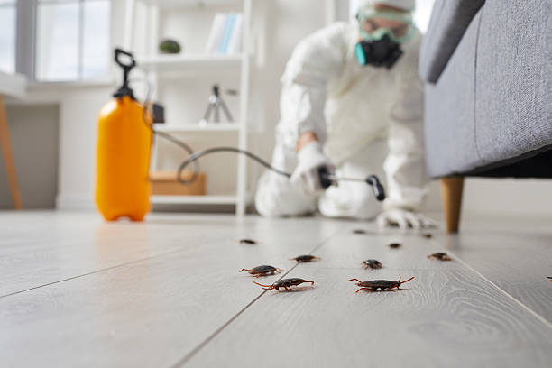 Commercial Rodent Management in Fowler